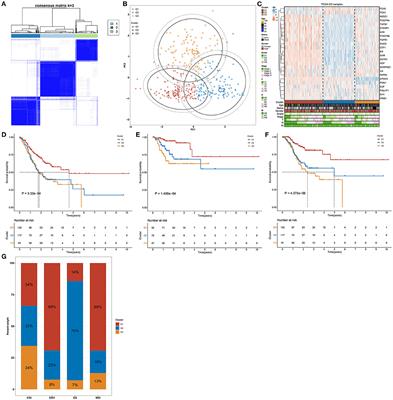 Depiction of Aging-Based Molecular Phenotypes With Diverse Clinical Prognosis and Immunological Features in Gastric Cancer